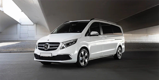 6 Seater vehicle image