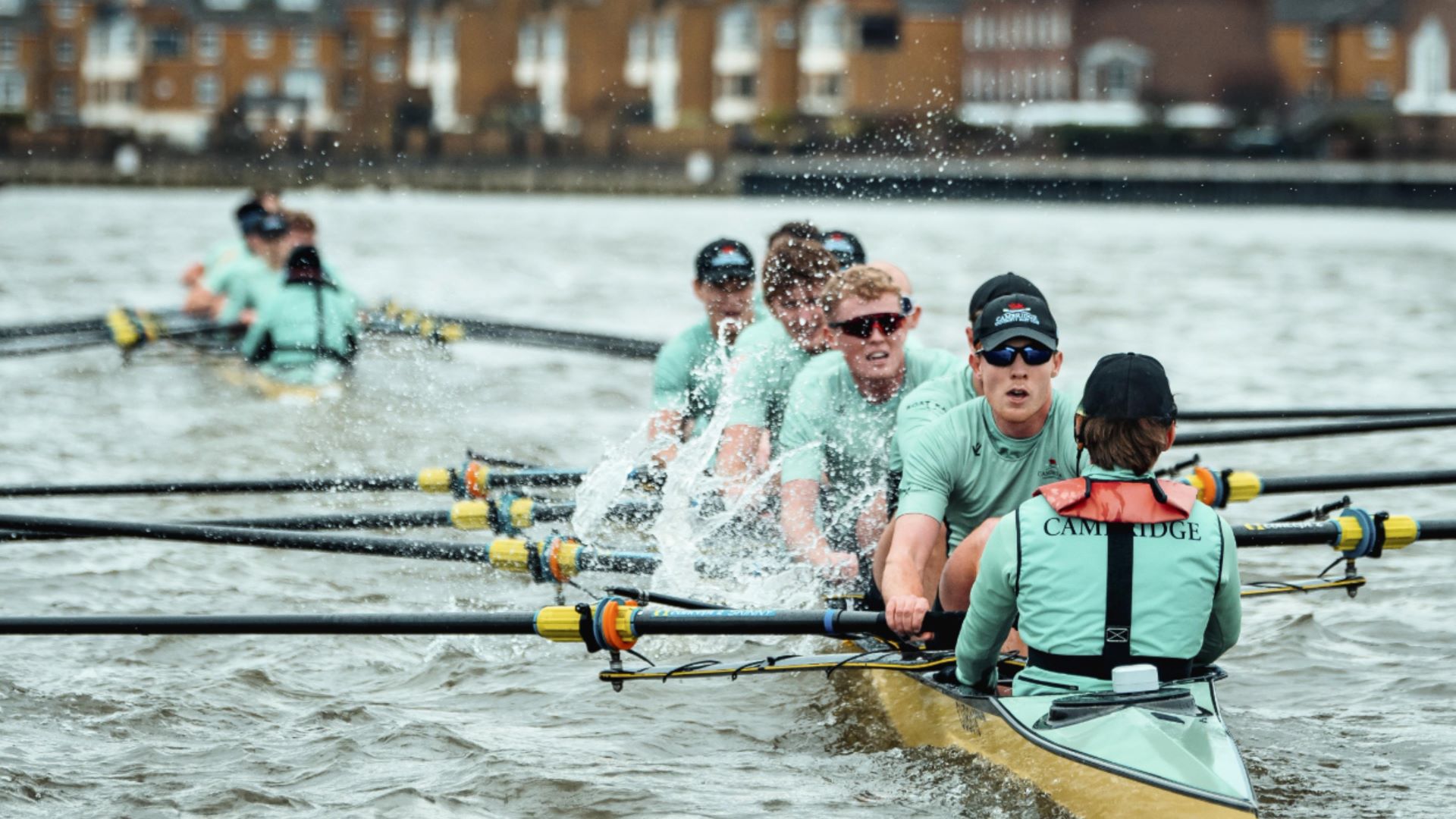 Regatta